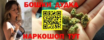 МДПВ Камышлов
