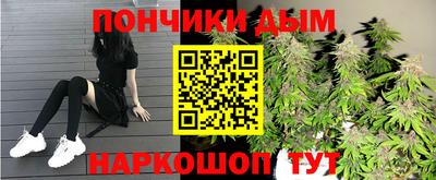 МДПВ Камышлов