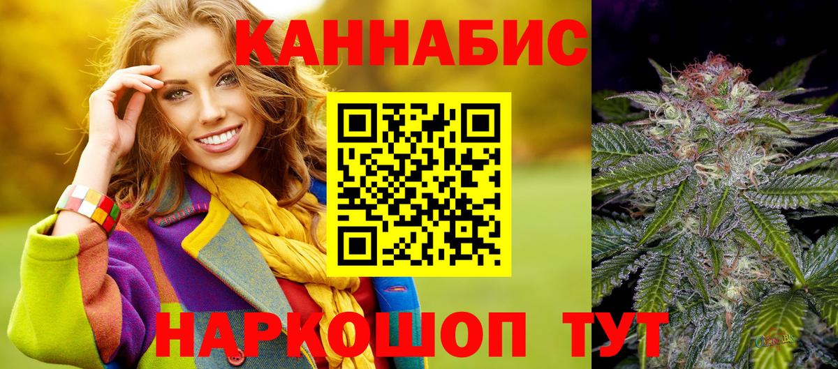 Волхов  Марихуана сатива  Каннабис планчик  Марихуана VHQ  Вход с VPN 
